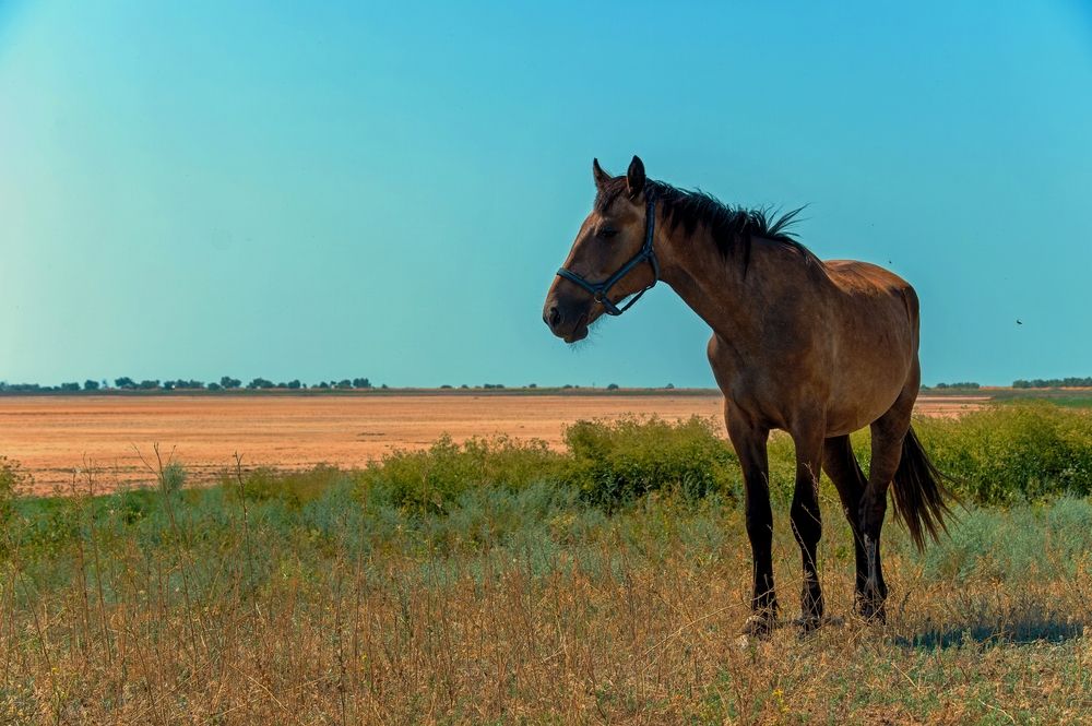 Photograph by Михаил Косолапов
