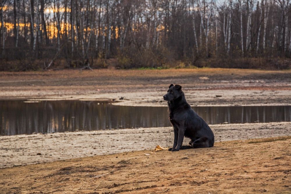 Photograph by Елена