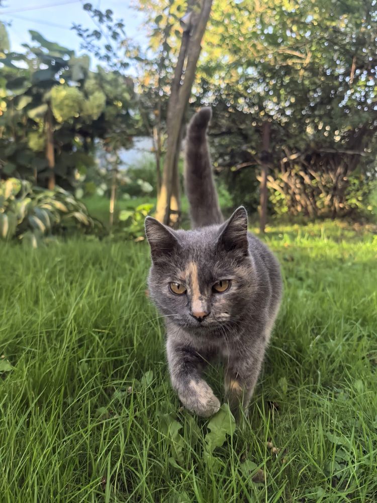 Photograph by Екатерина Борисовна Кузьмина