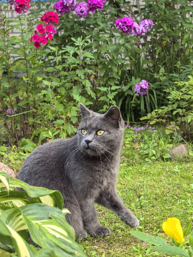 Photograph by Екатерина Борисовна Кузьмина