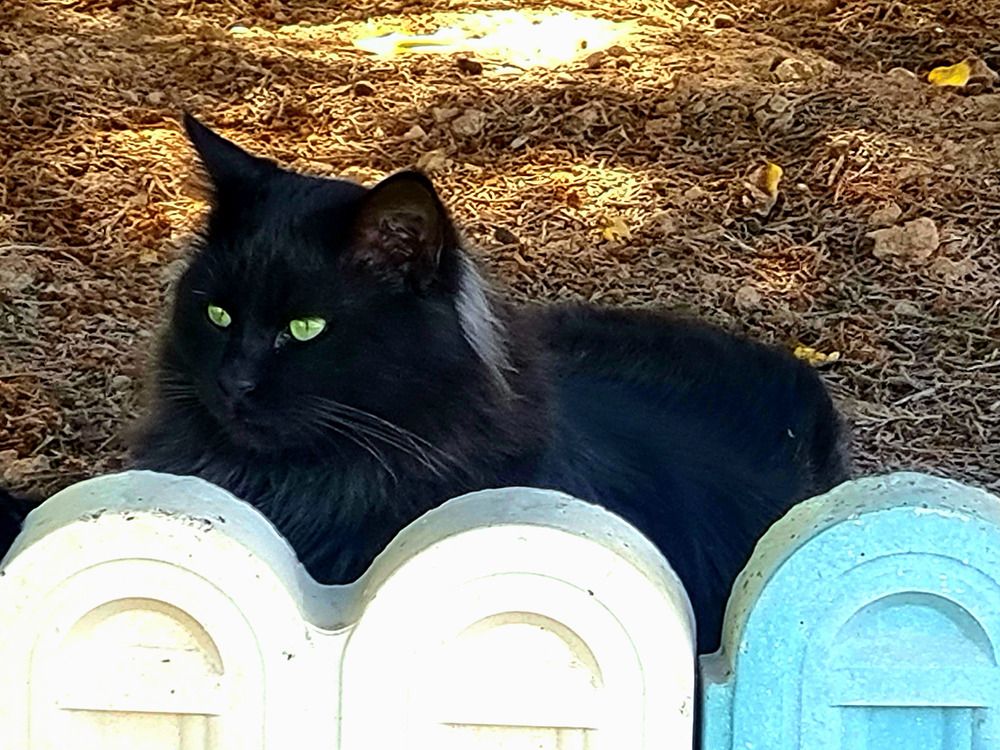 Photograph by Babak Akvan