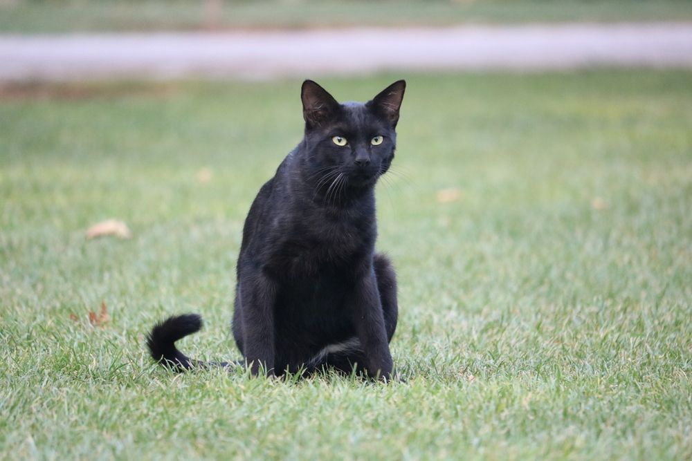 Photograph by Babak Akvan