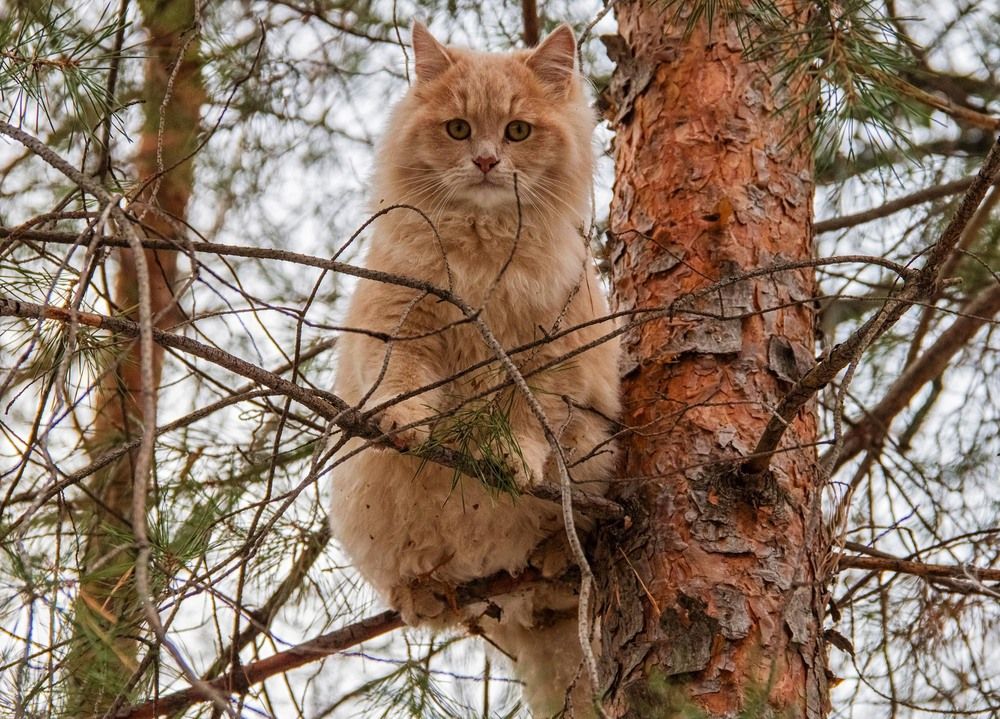 Photograph by Елена