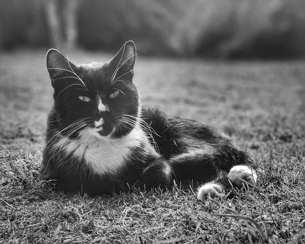 Photograph by Александра Кропивка