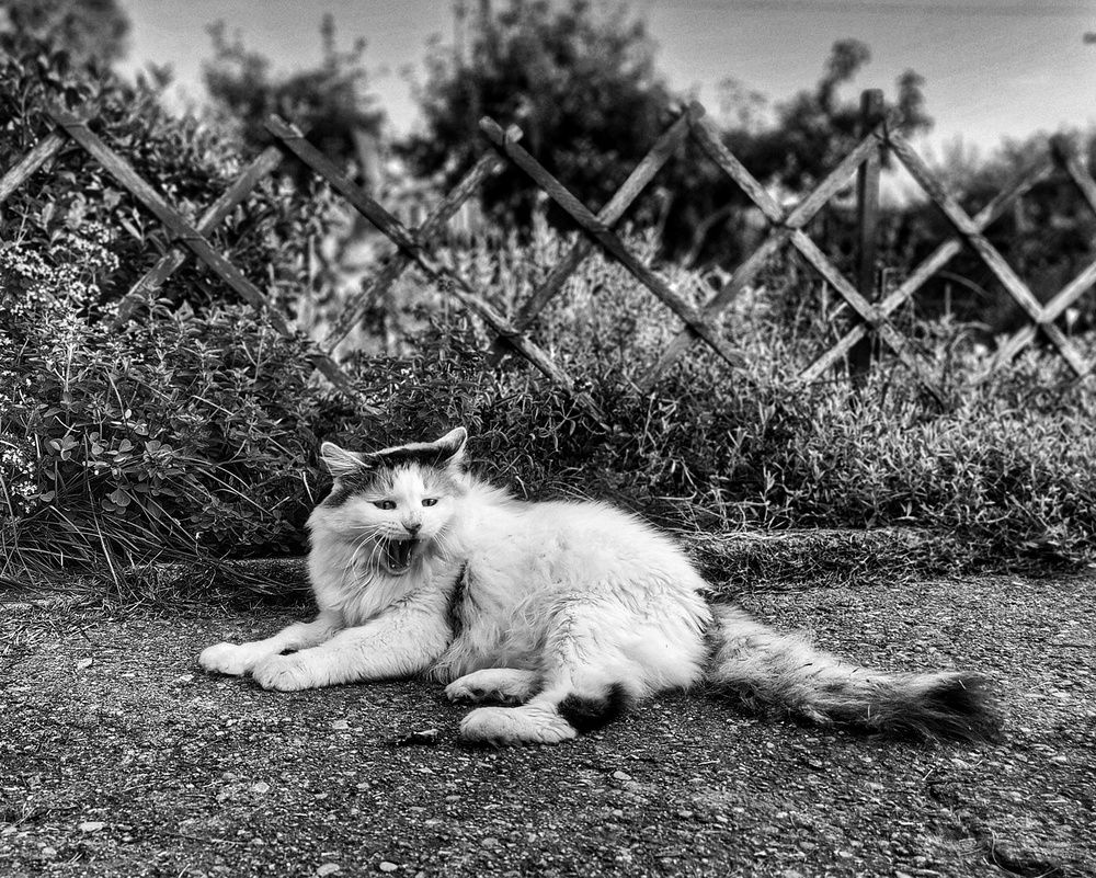 Photograph by Александра Кропивка