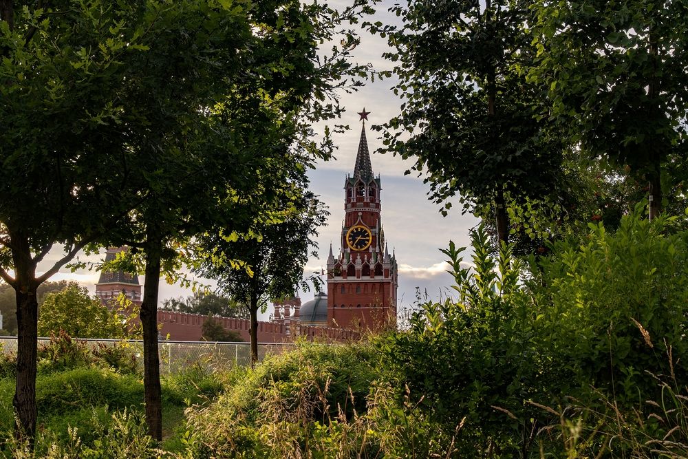 Photograph by Михаил Косолапов