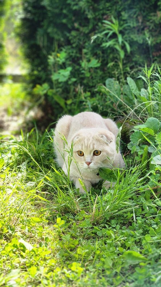 Photograph by Александра Кропивка