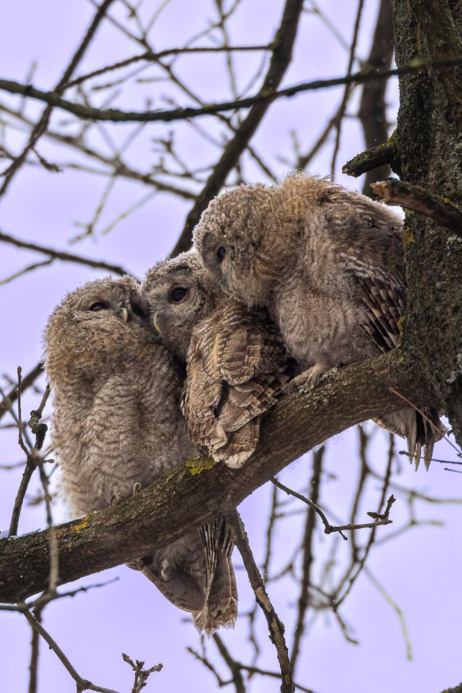 Photograph by Вера Машина