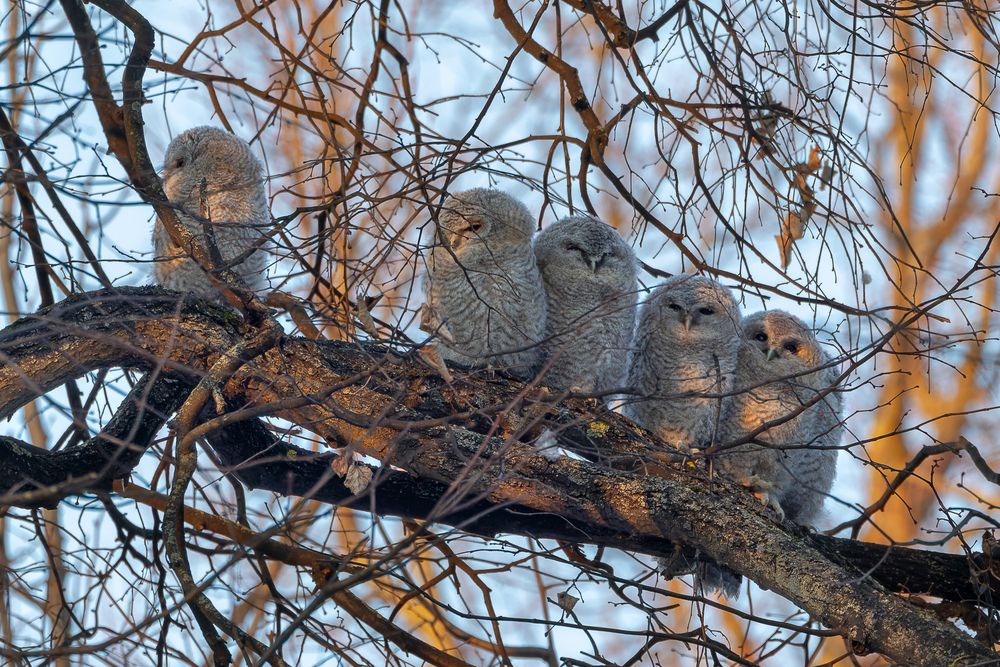 Photograph by Вера Машина