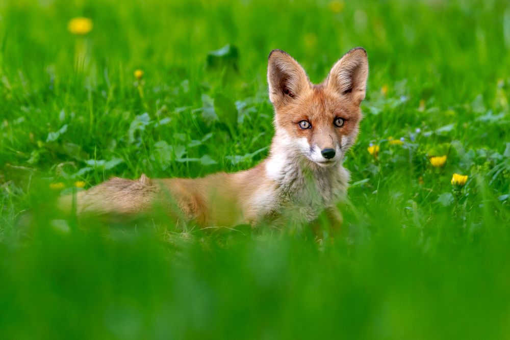 Photograph by Вера Машина