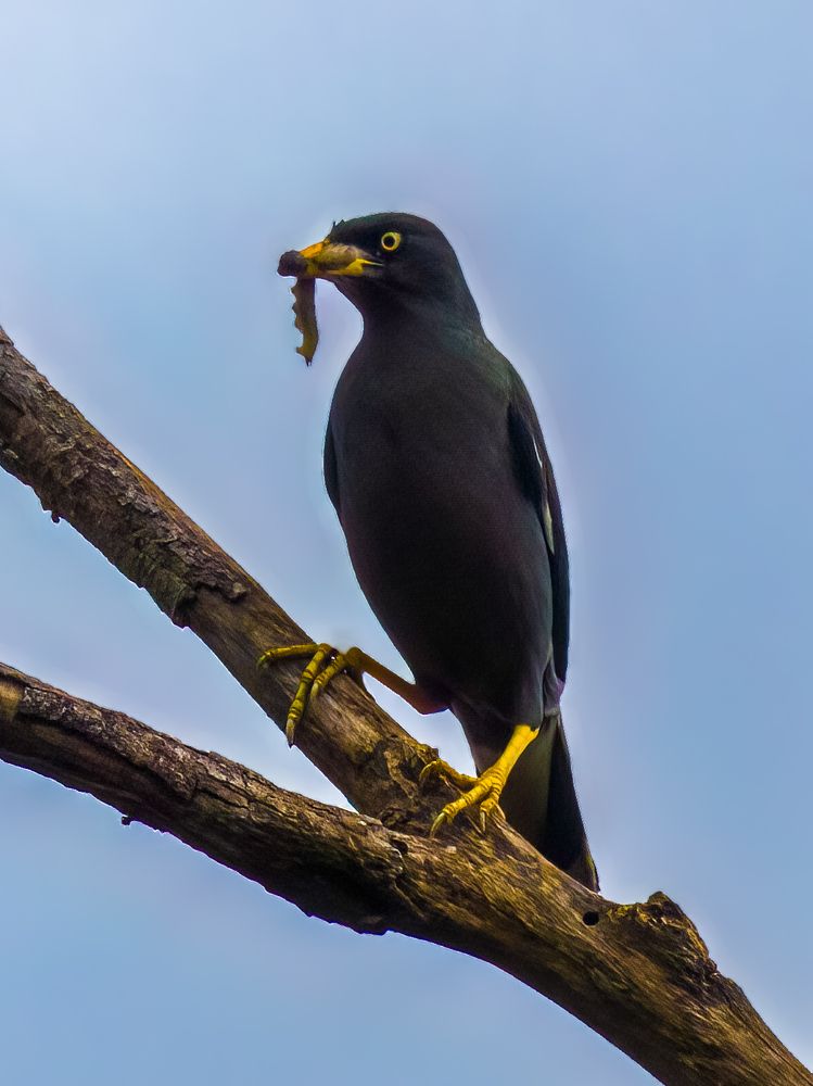 Photograph by Wong Fei Hung