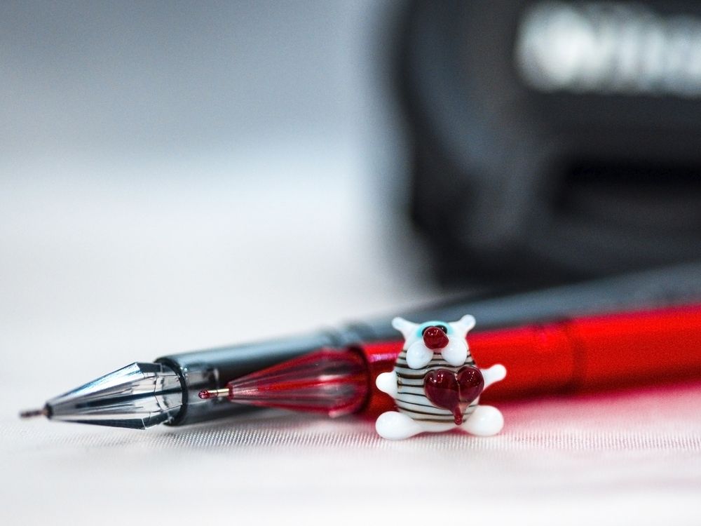 Мини-кот: художник и его муза