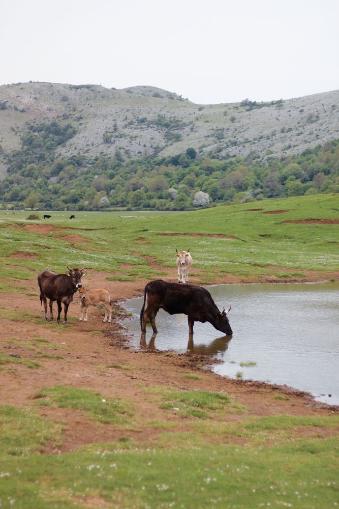 Photograph by Iryna Shyshkina