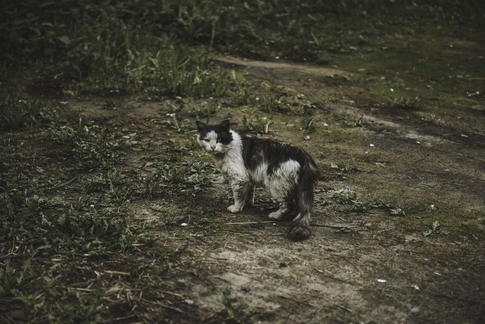 Photograph by Каталина Иванова