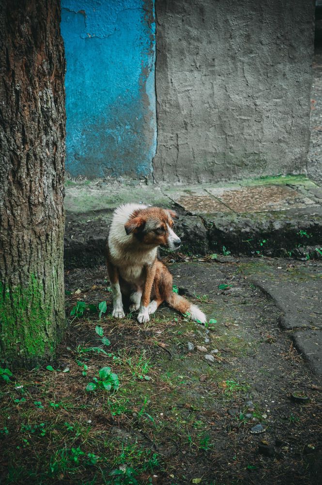 Photograph by Каталина Иванова
