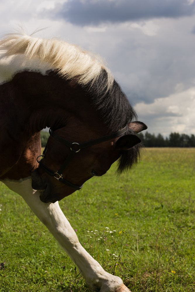 Photograph by Rimma Larkina