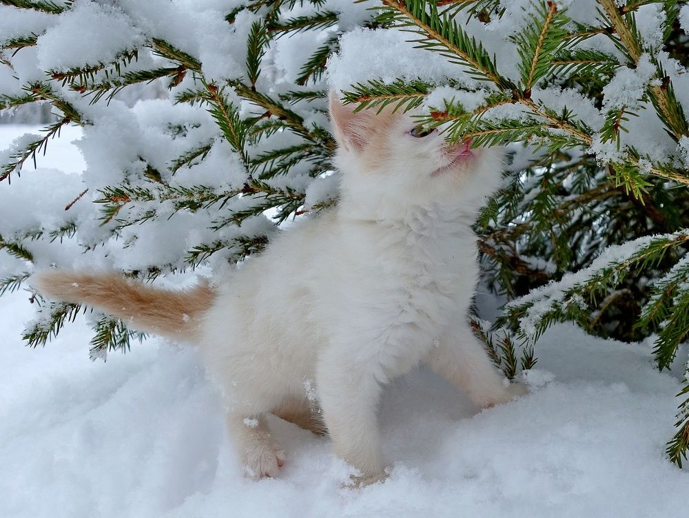 Photograph by Виктор Решетников