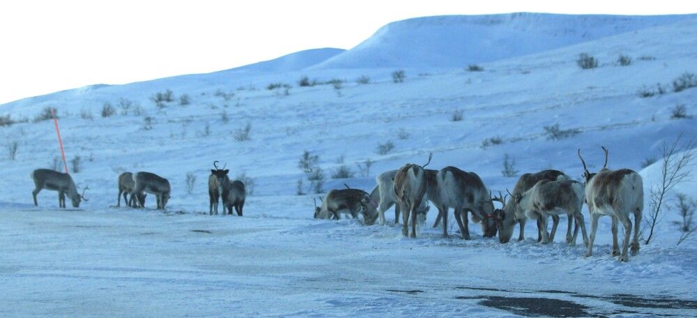 Photograph by Inese Firsova