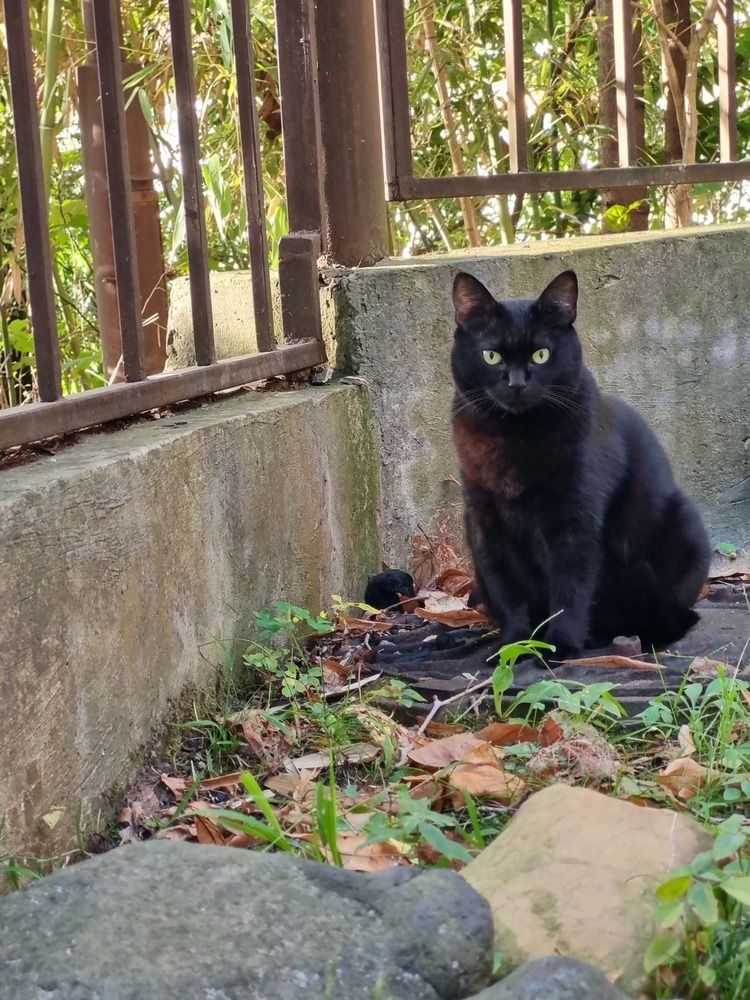 Photograph by Людмила Кухарева