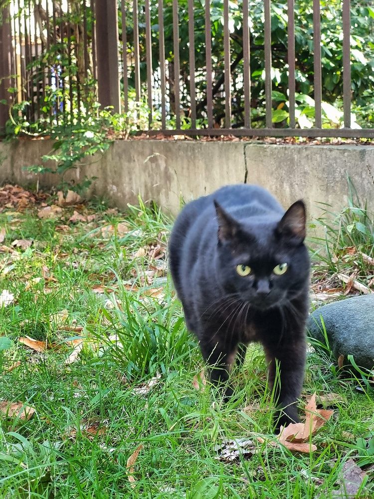 Photograph by Людмила Кухарева