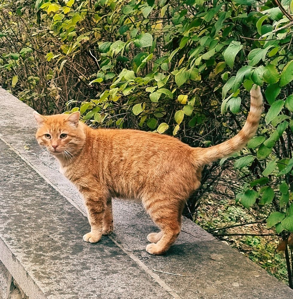 Photograph by Людмила Кухарева