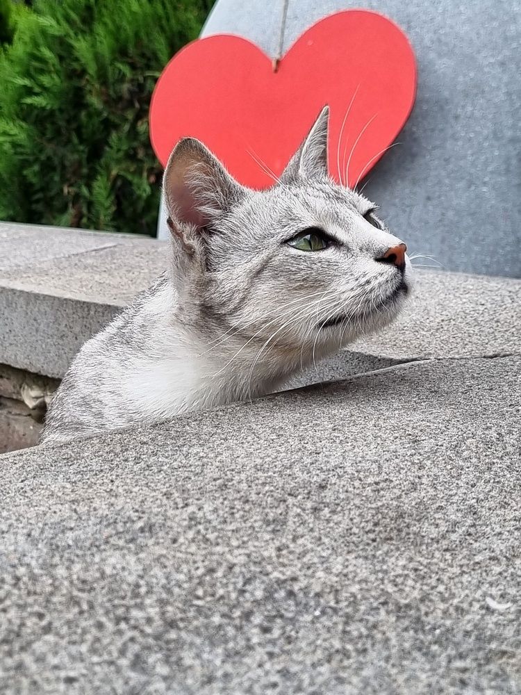 Photograph by Людмила Кухарева