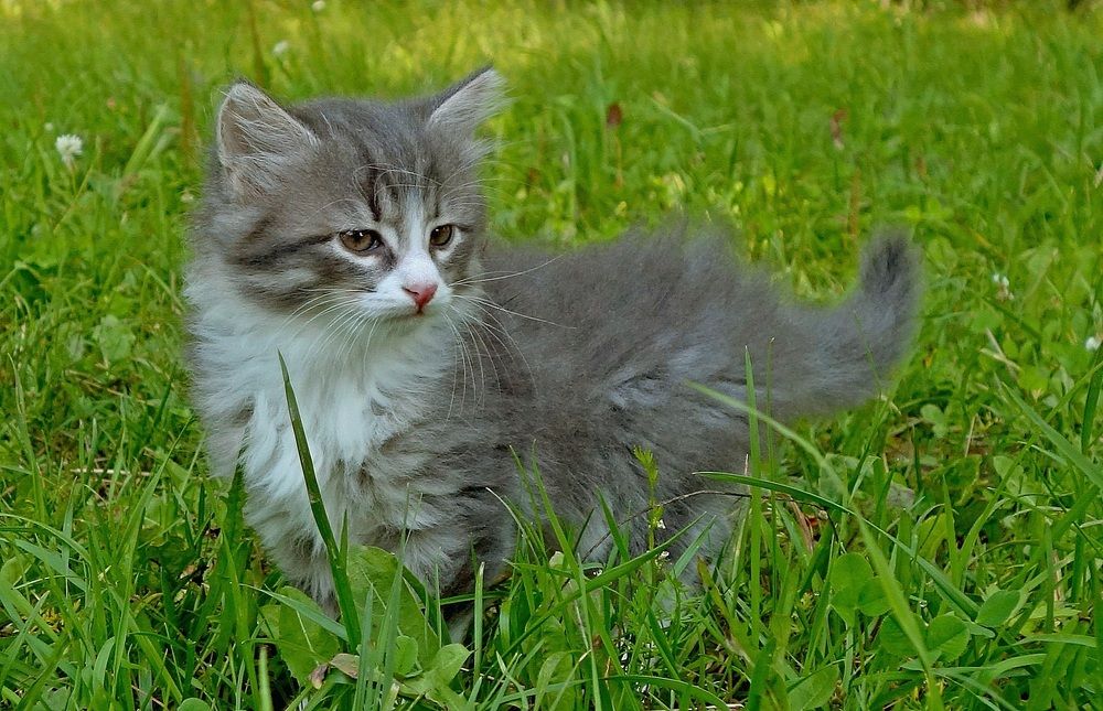 Photograph by Виктор Решетников