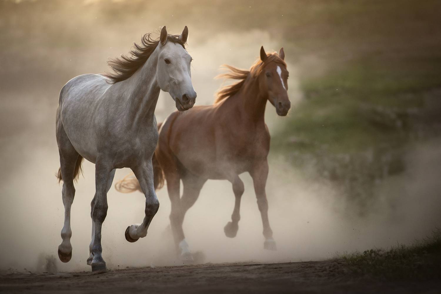 Фотография #12786826