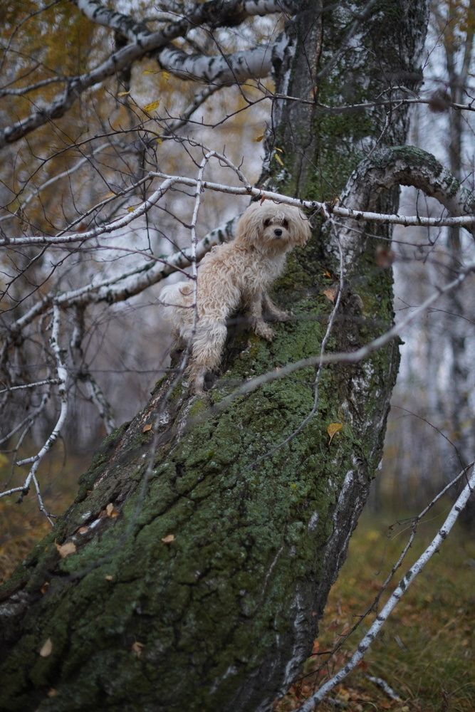 Photograph by Анастасия Позинич