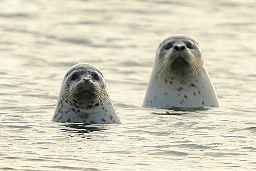 Photograph by Лариса Ким