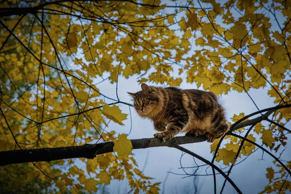 Photograph by Ольга Куликова