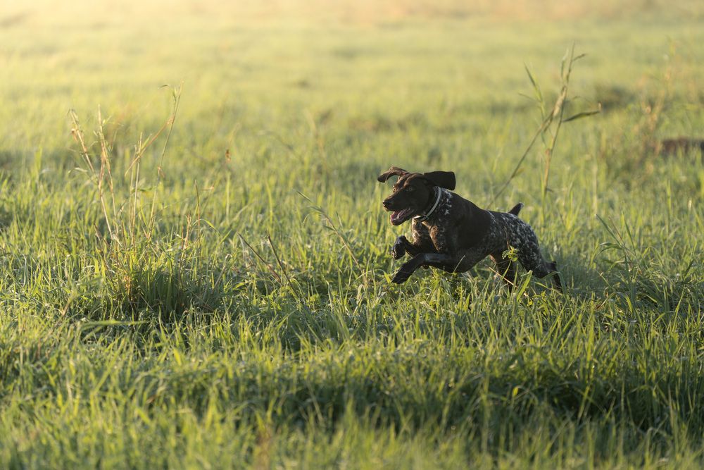 Фотография автора Александра Сивер