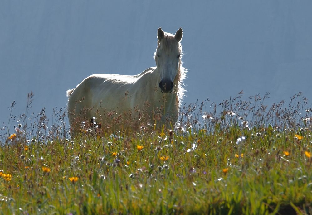 На просторе.