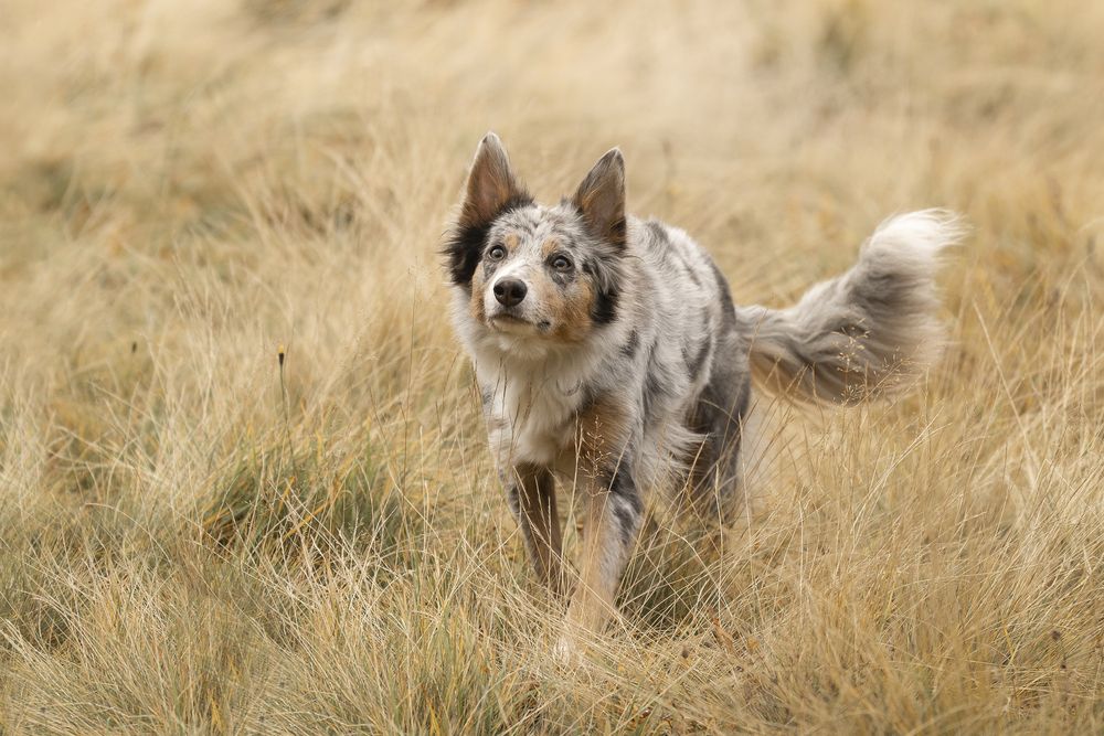 Фотография автора Александра Сивер