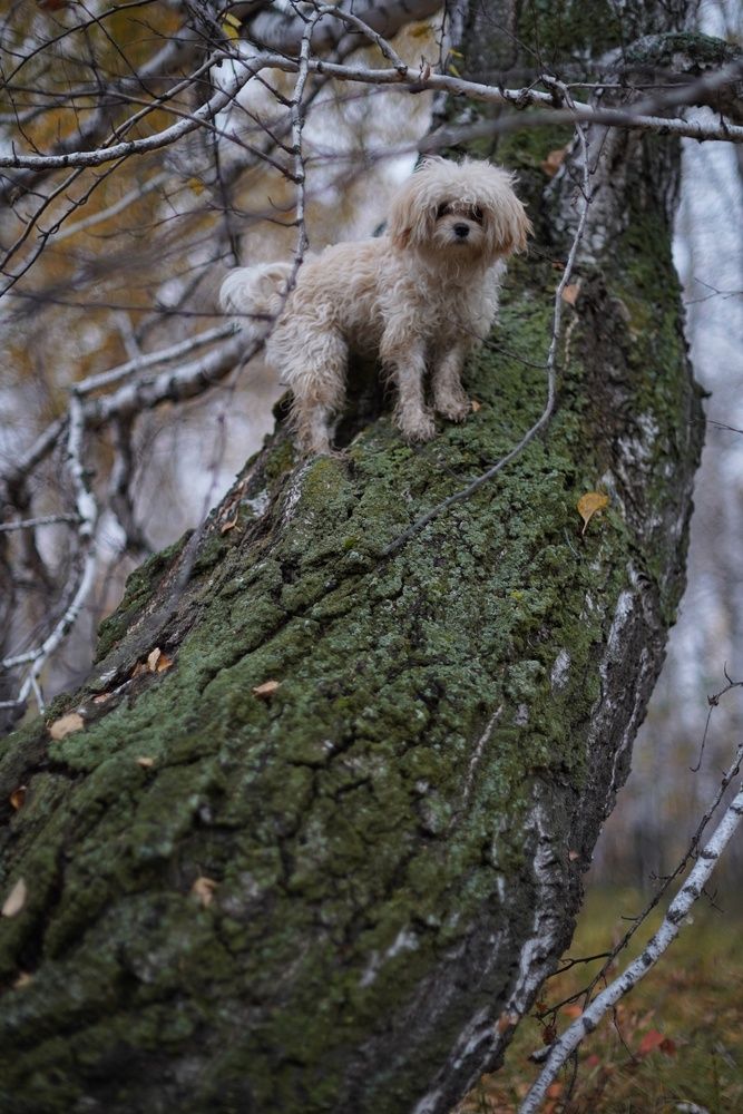 Photograph by Анастасия Позинич