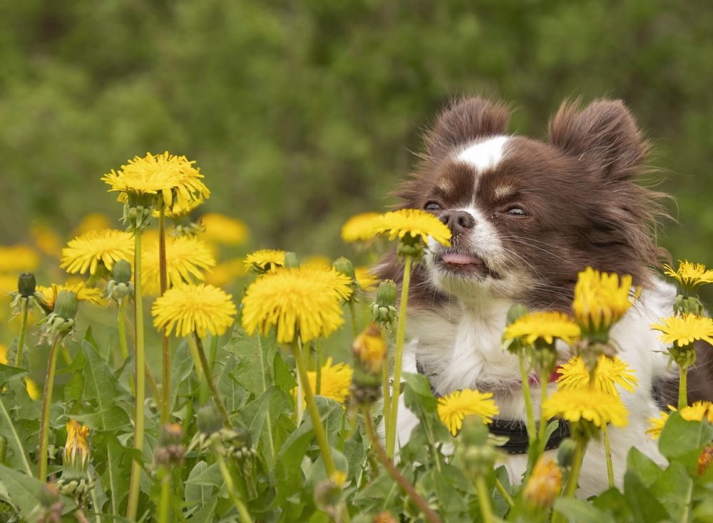 Photograph by Валентина Куренкова