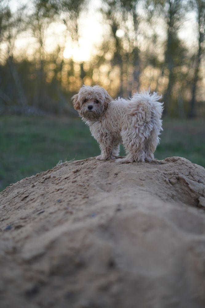 Photograph by Анастасия Позинич