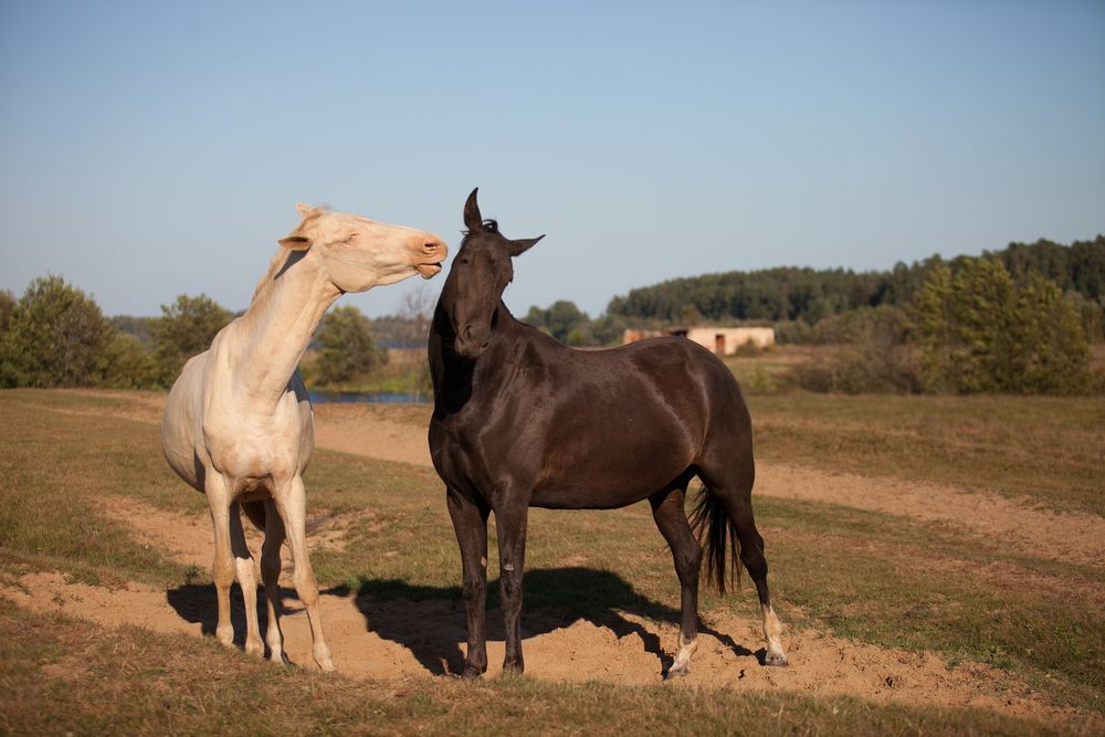 Photograph by Лолита Богачева