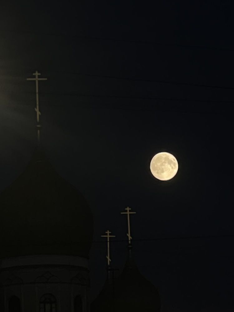 Photograph by Дарья Домбровская