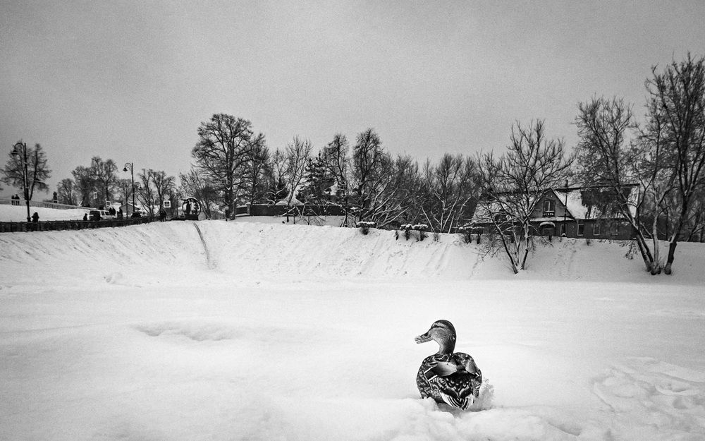 Photograph by Андрей Копылов