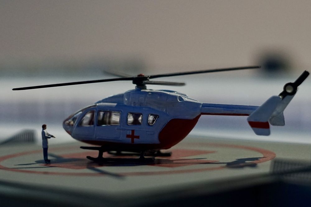 Неси меня в мой мир