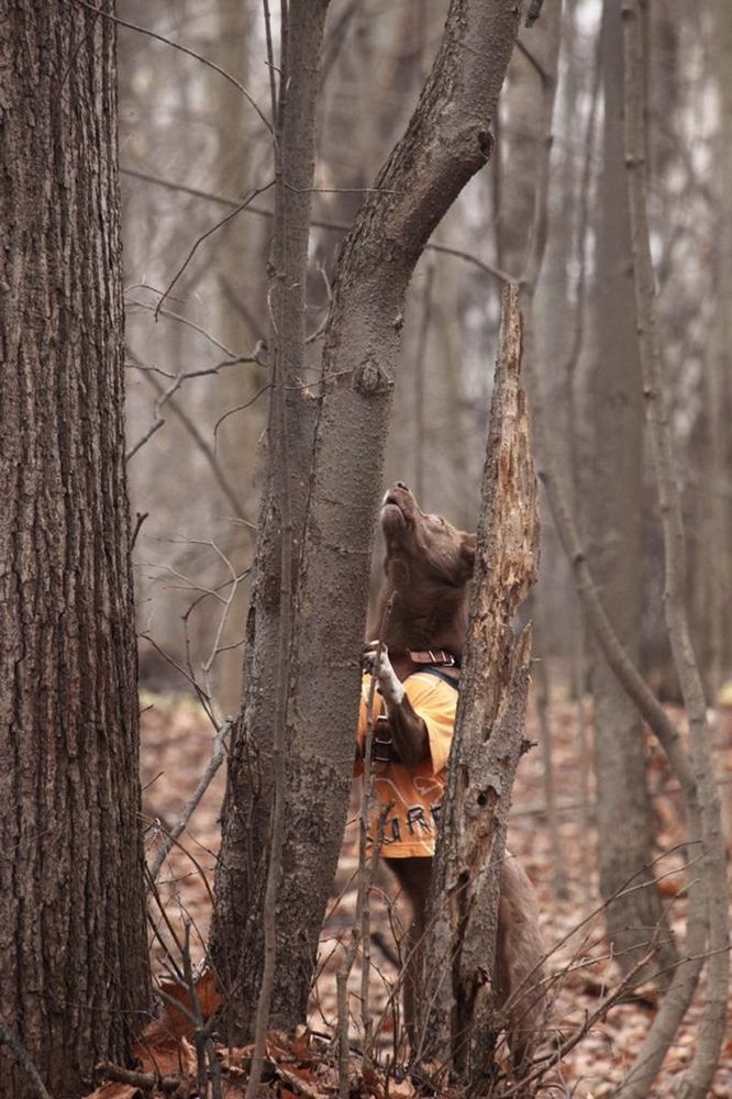 Фотография автора Galina Sa