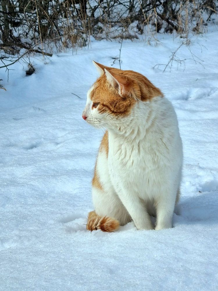 Photograph by Любовь Прохода