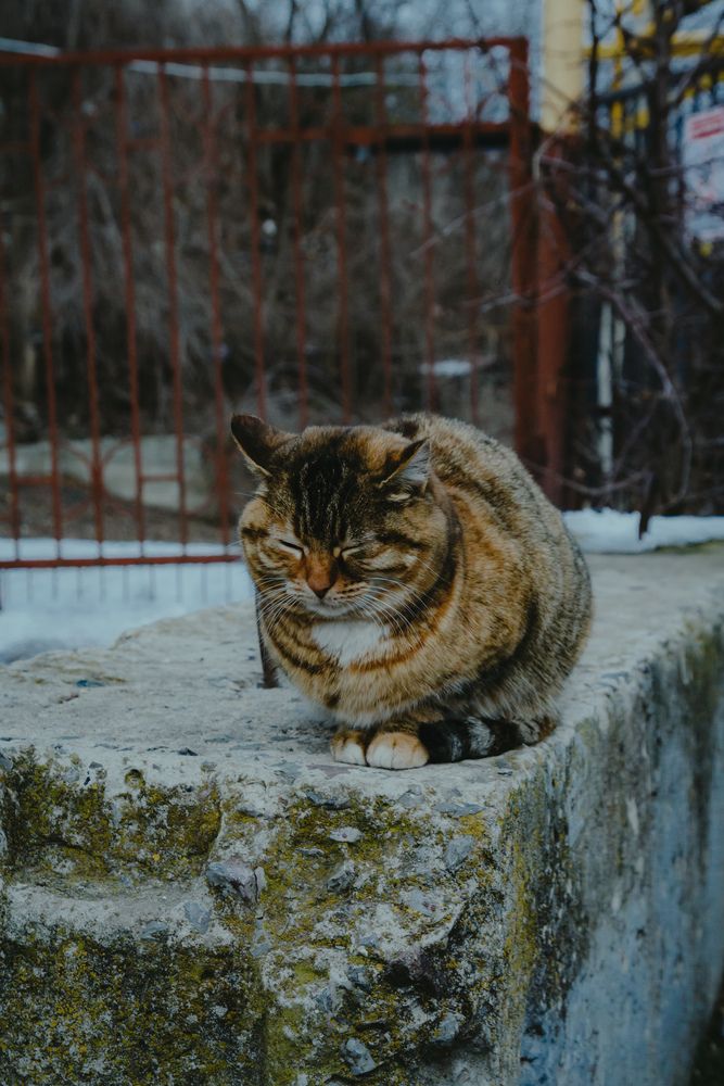 Photograph by Ирина Цыпылова