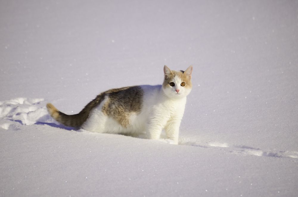 Photograph by Alexandr Vasilev