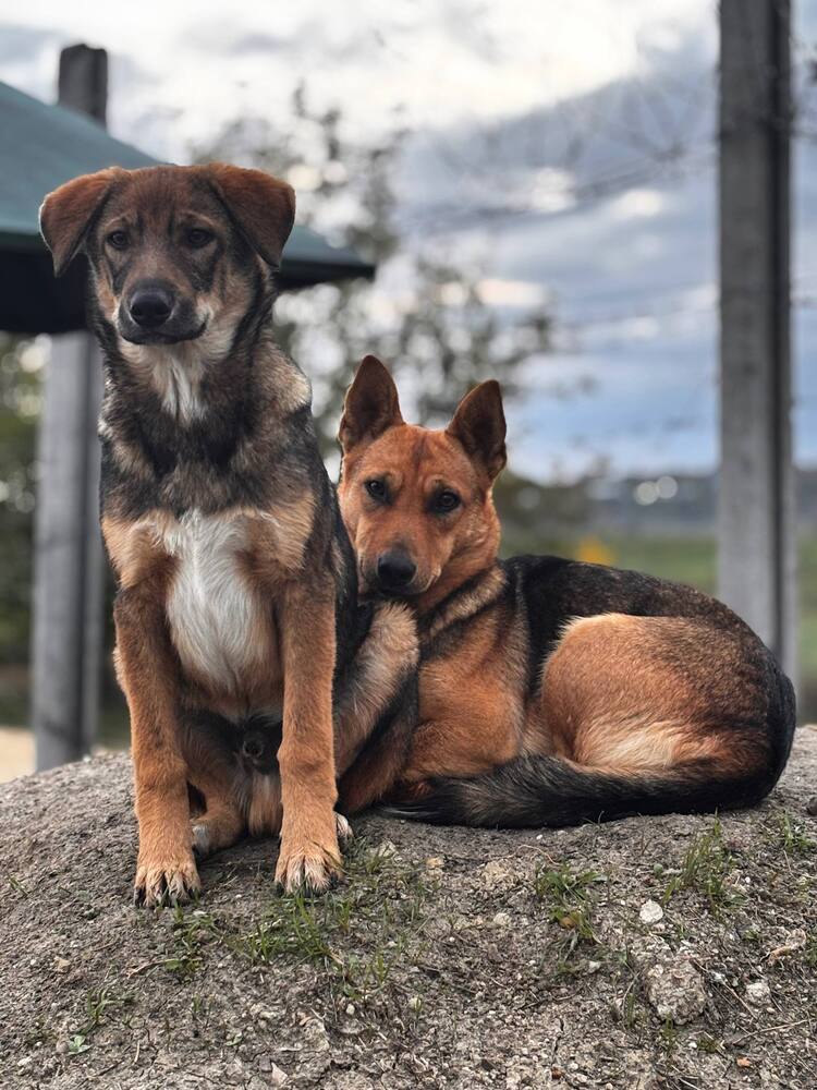 Photograph by Татьяна Нестерова