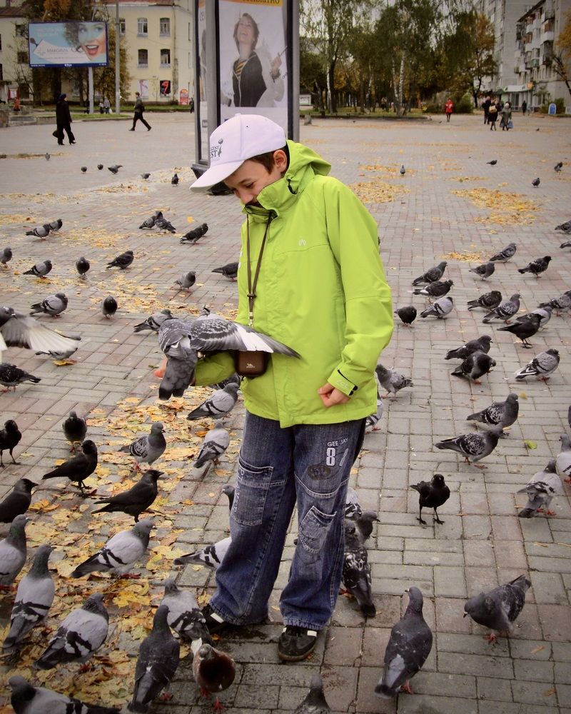 Осенний день: Алешка и голуби