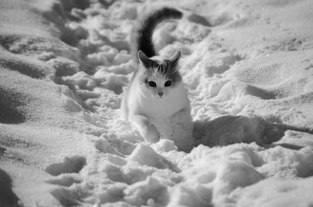 Photograph by Alexandr Vasilev