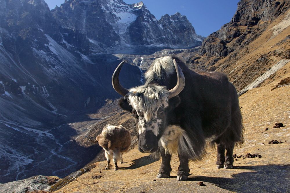 Photograph by Лада Денисова