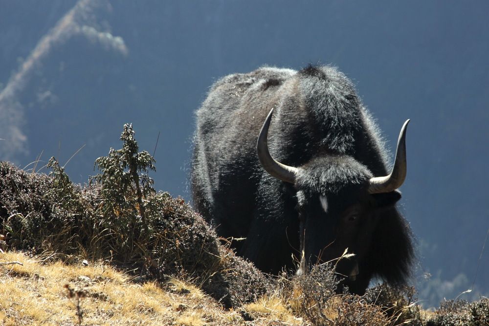 Photograph by Лада Денисова